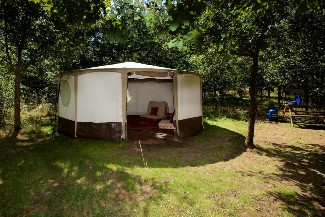 Hotel Dgg Woodland Escape South Barrow Esterno foto