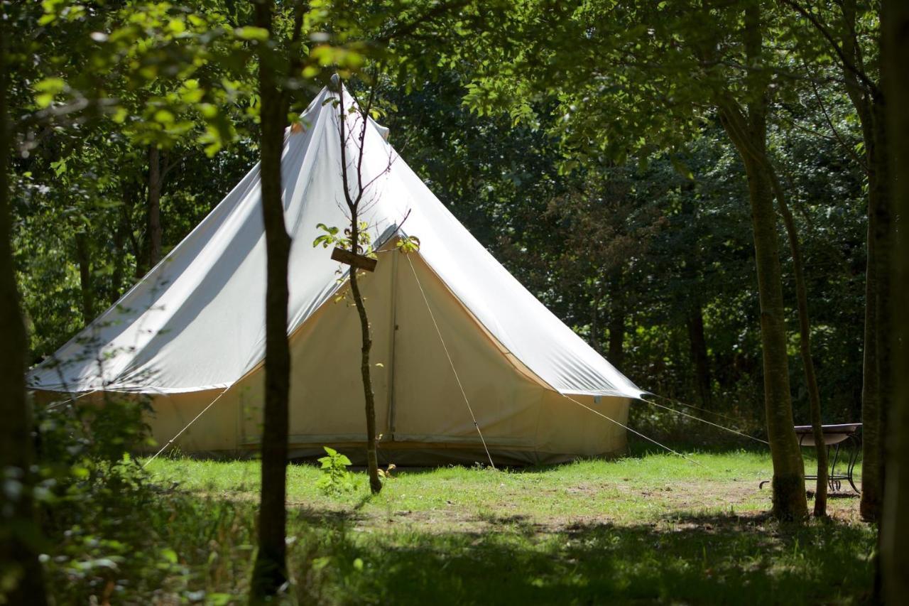 Hotel Dgg Woodland Escape South Barrow Esterno foto