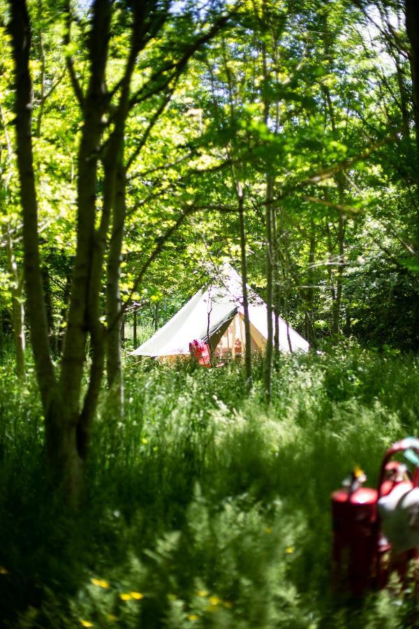 Hotel Dgg Woodland Escape South Barrow Esterno foto