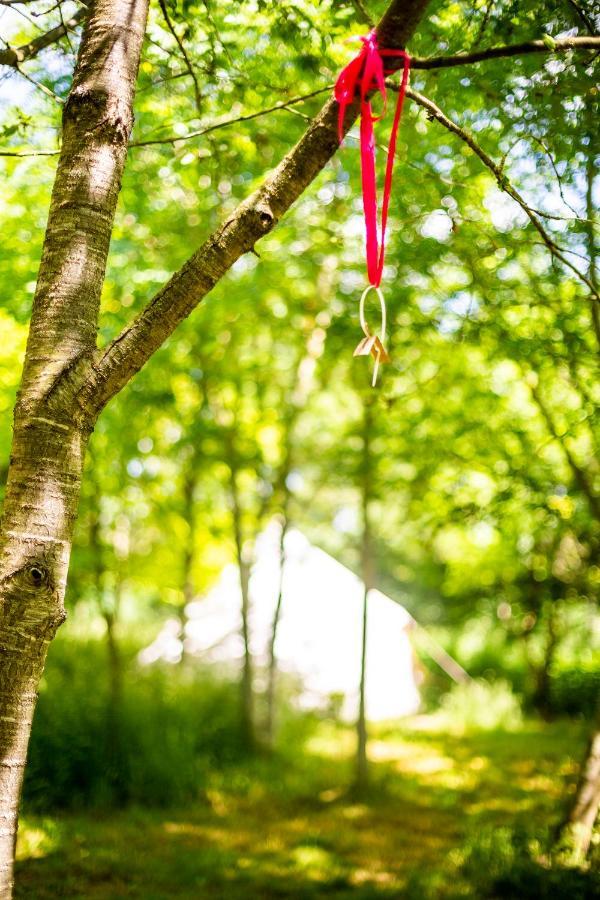 Hotel Dgg Woodland Escape South Barrow Esterno foto
