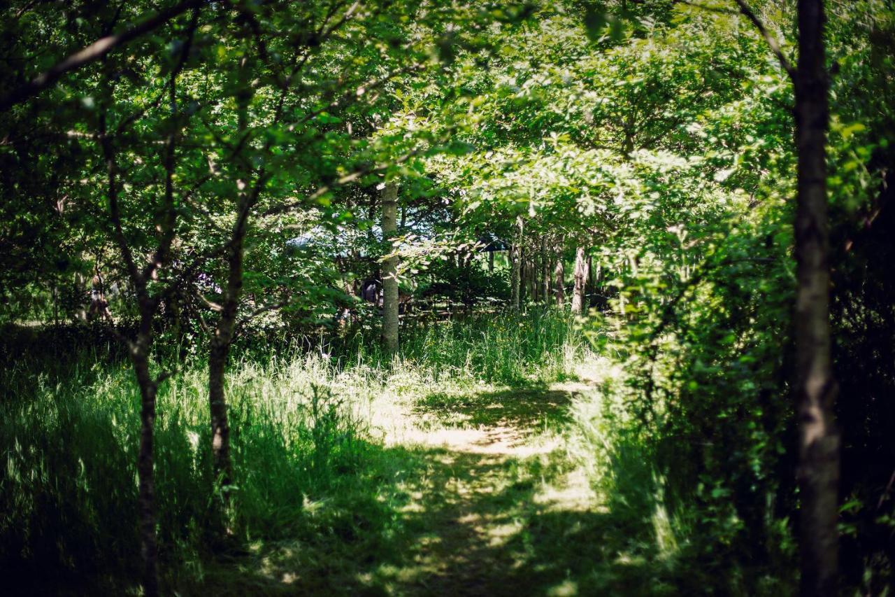 Hotel Dgg Woodland Escape South Barrow Esterno foto