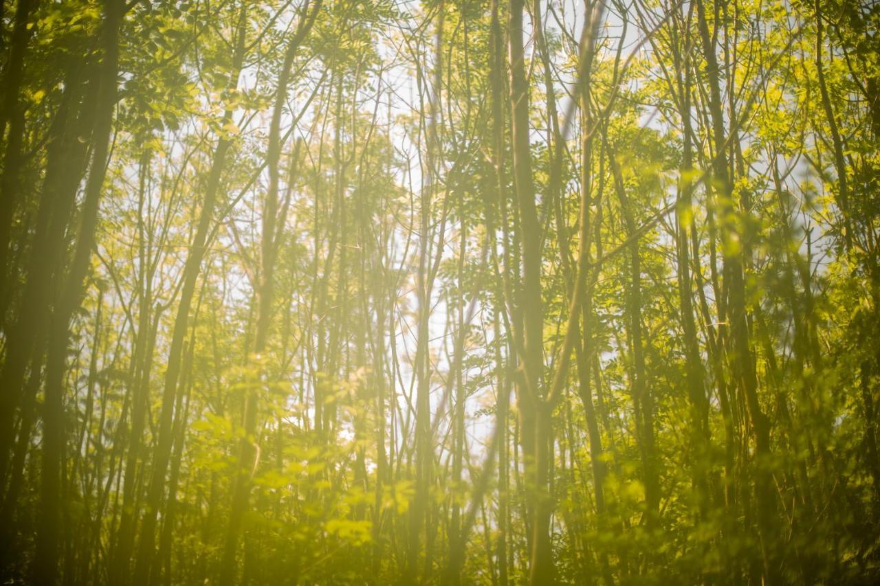 Hotel Dgg Woodland Escape South Barrow Esterno foto