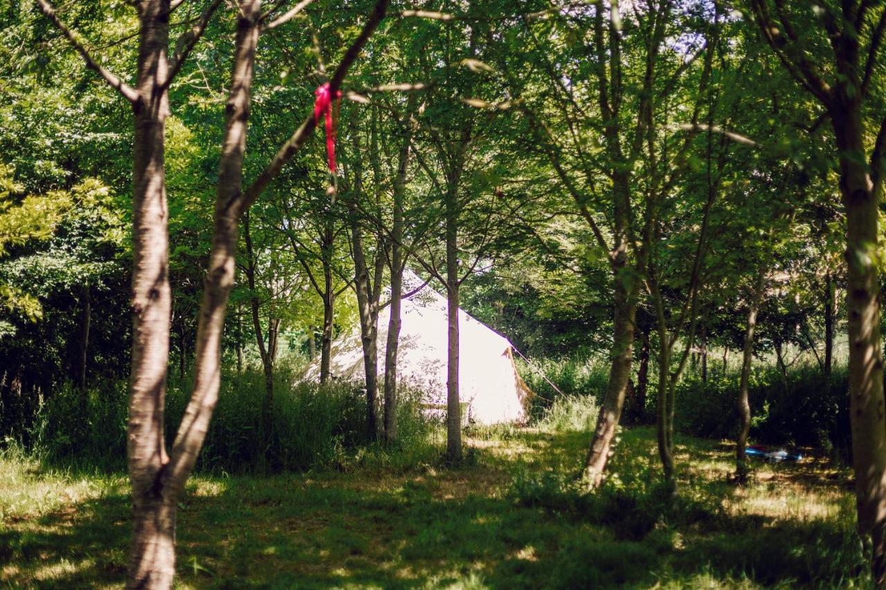 Hotel Dgg Woodland Escape South Barrow Esterno foto