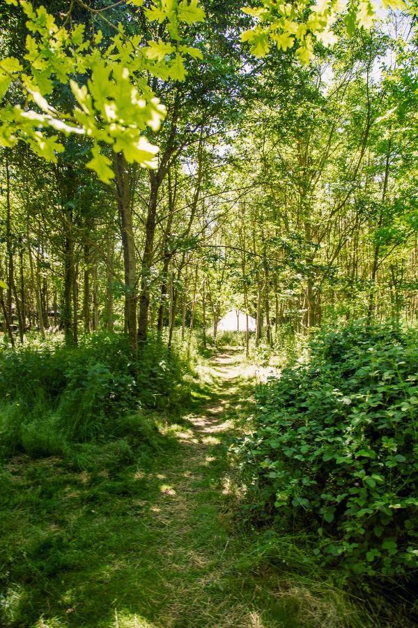 Hotel Dgg Woodland Escape South Barrow Esterno foto