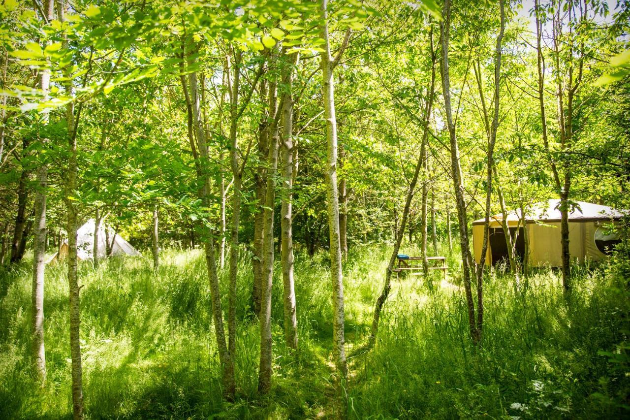 Hotel Dgg Woodland Escape South Barrow Esterno foto