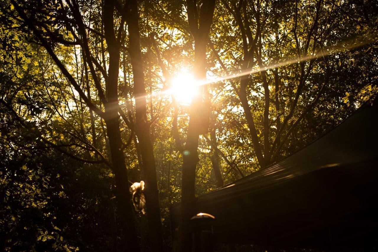 Hotel Dgg Woodland Escape South Barrow Esterno foto
