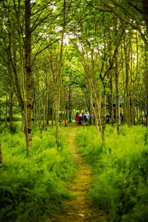 Hotel Dgg Woodland Escape South Barrow Esterno foto